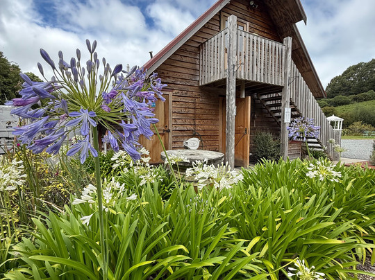 French Peak Vineyard-阿卡罗阿必去景点