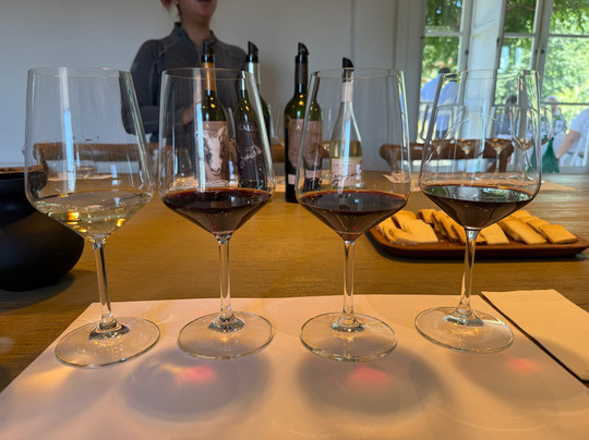 Vina Maquis-Palmilla必去景点