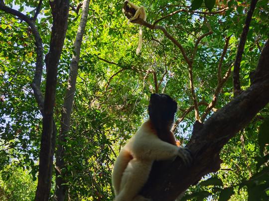 Mora Mora Escursioni-Andilana必去景点