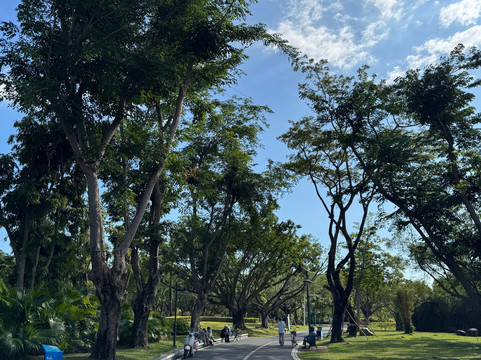 白鹭公园-三亚市必去景点