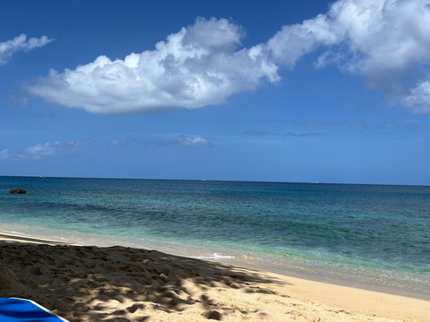 马卡彼岸花度假酒店主图