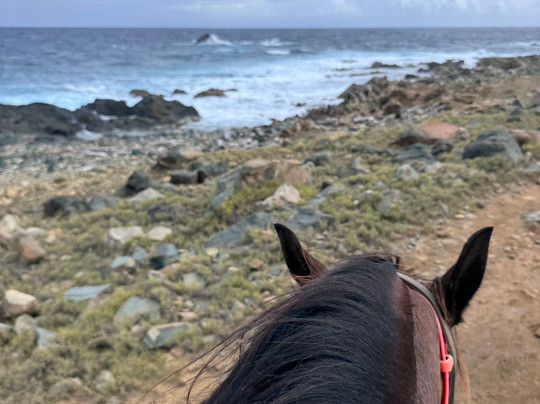 Rancho Loco-Santa Cruz必去景点