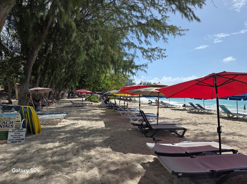 Miami Beach Barbados-奥伊斯廷斯必去景点