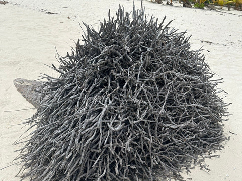 Bishops Cruises-艾图塔基必去景点