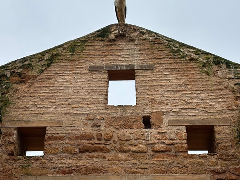 Chellah Rabat-拉巴特必去景点