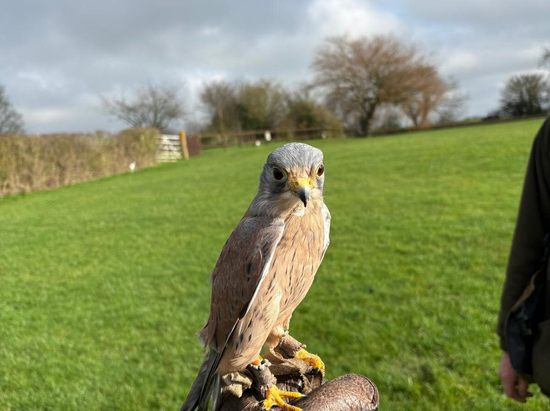 Rutland Outdoor Pursuits-Cottesmore必去景点