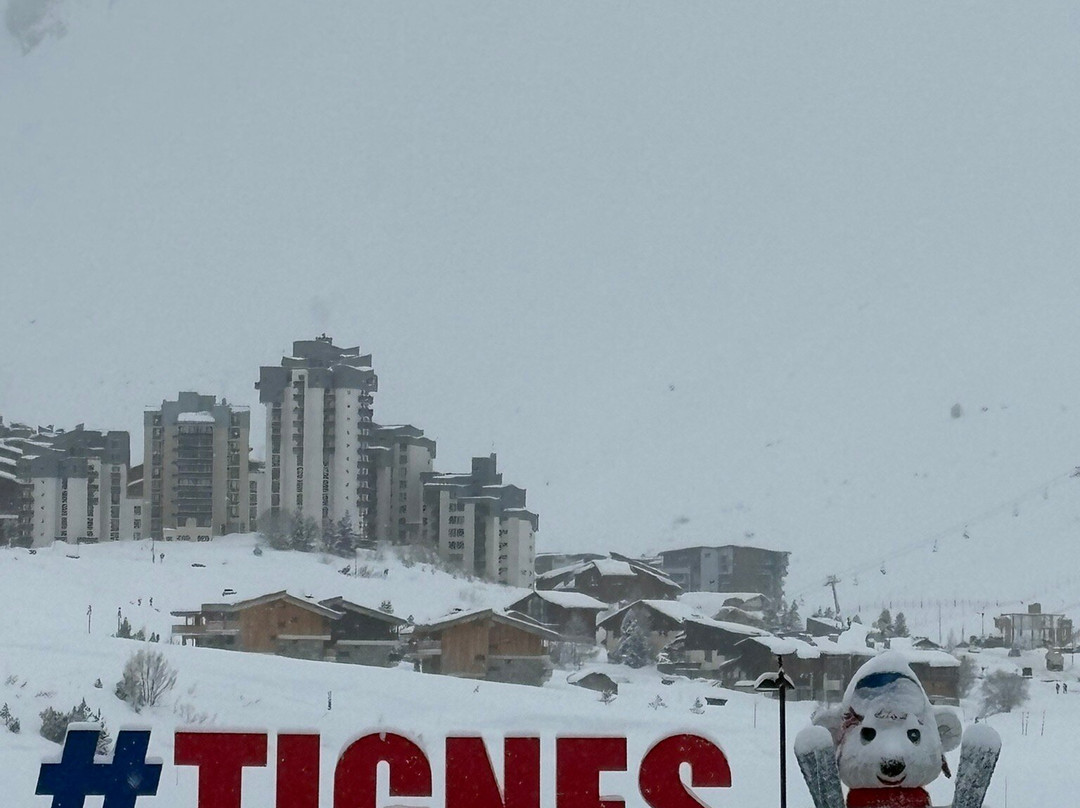 您想要滑雪酒店（Les Etincelles集团管理）主图