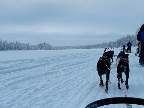 拉普兰Safartica户外探险之旅-罗瓦涅米必去景点