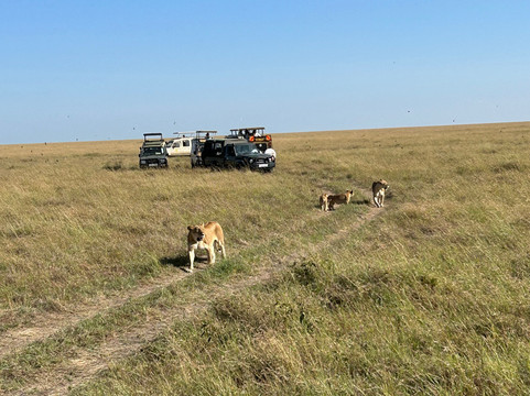 Nature Insight Safaris-内罗毕必去景点