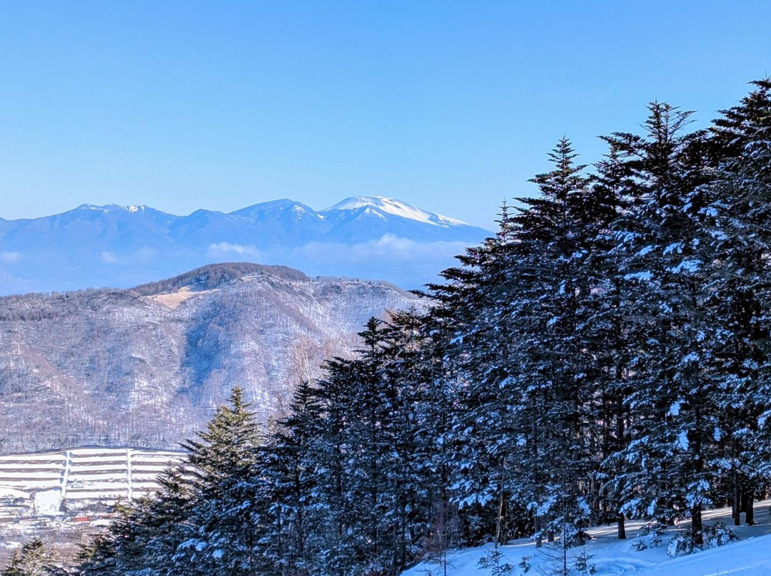 Blanche Takayama Ski Resort-长和町必去景点