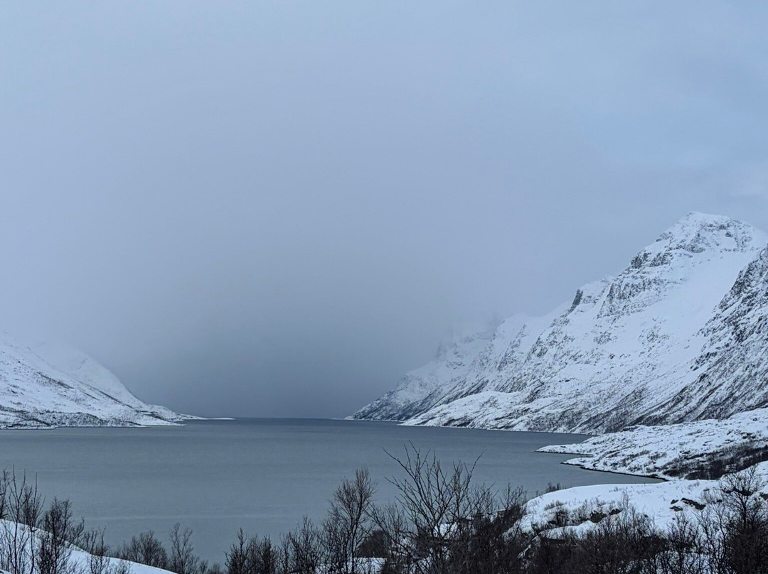 特罗姆瑟极光探索旅行社-特罗姆瑟必去景点