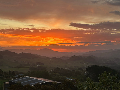 Nature & Nosh Tours-汉密尔顿必去景点
