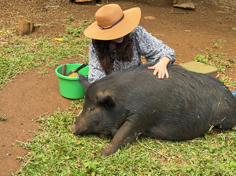 Leilani Farm Sanctuary-海库必去景点