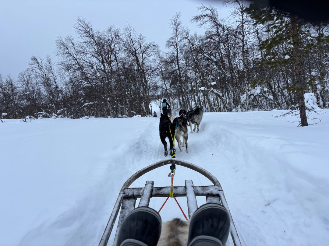 Into Nature-Meistervik必去景点