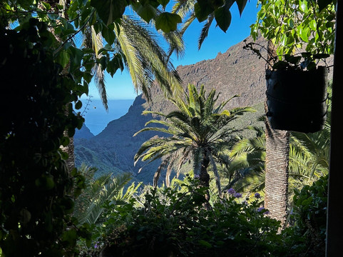 Touring Canarias-特纳里夫必去景点