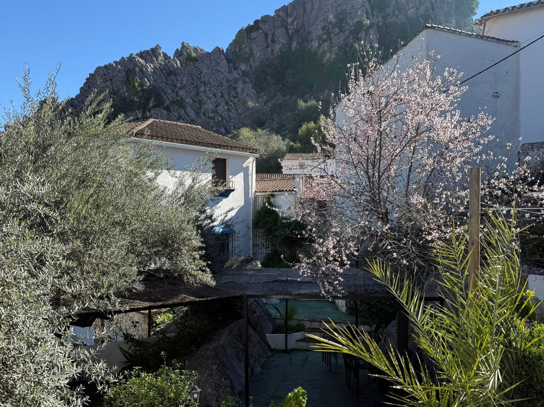La Grulla Montejaque