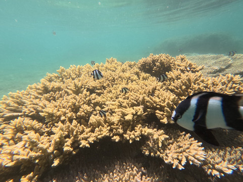 Kayak Transparent Reunion-拉萨里讷雷班必去景点