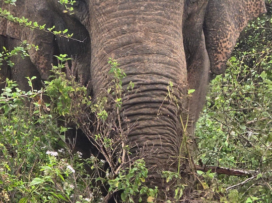 Bentota Travel Mart-班托塔必去景点