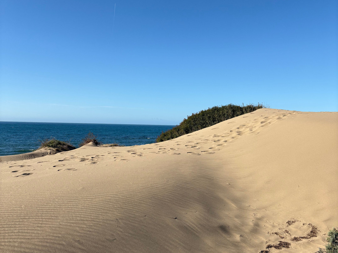 Dunas De Artola-马贝拉必去景点