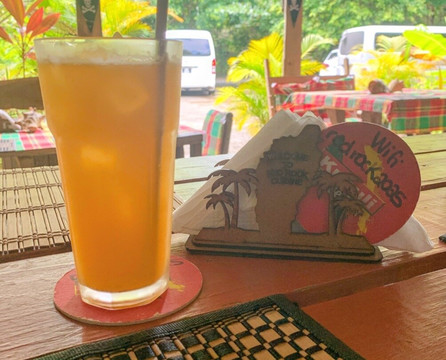 Red Rocks-多米尼克必去景点