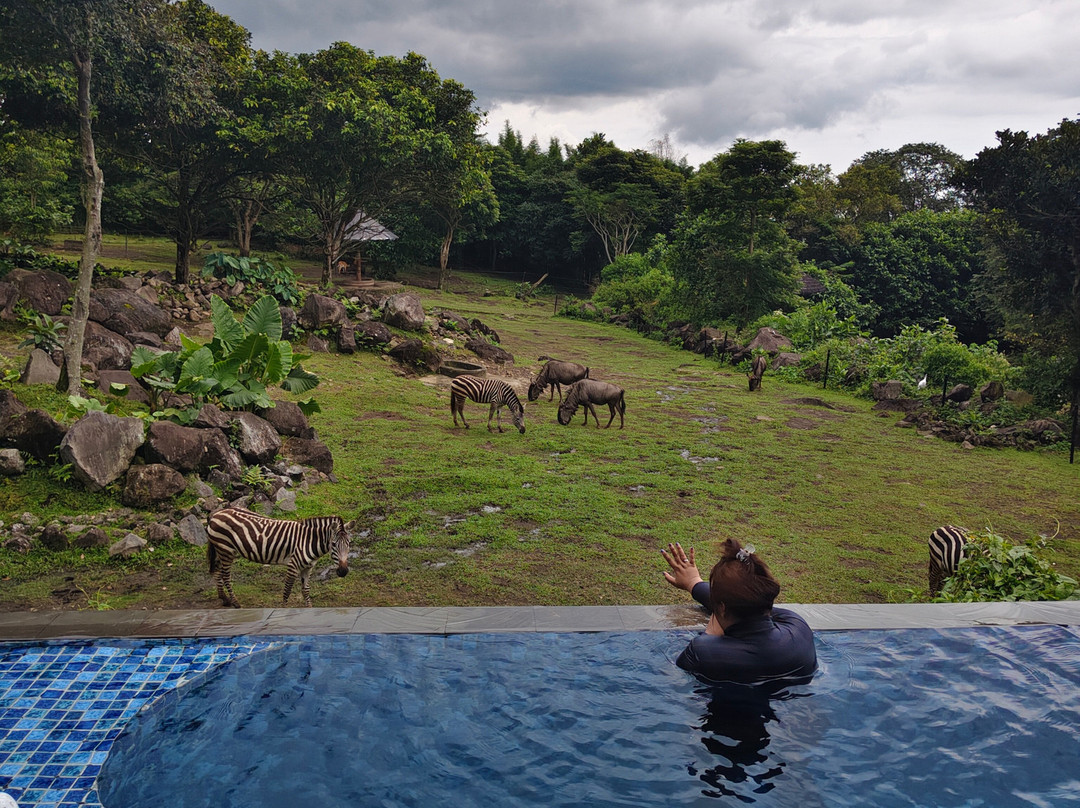 猴面包树野外度假村主图