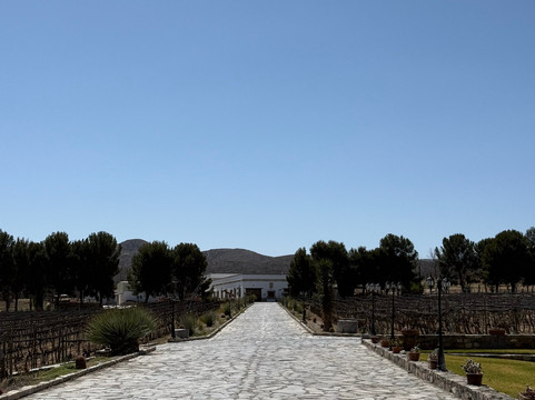 Bodega RGMX-Parras de la Fuente必去景点