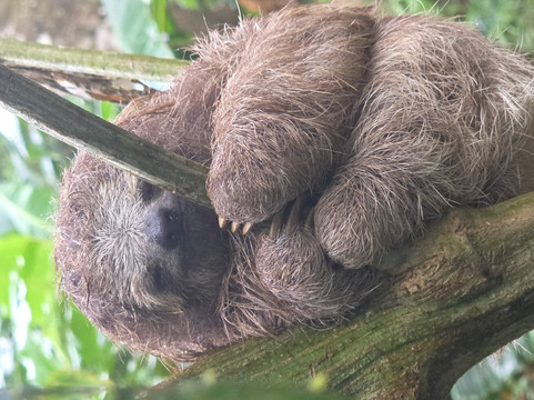 Erik Garcia Conchal Beach-孔查沙滩必去景点