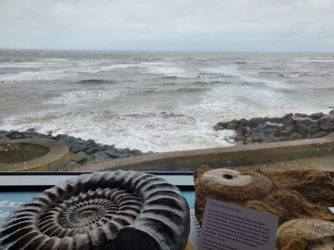 Lyme Regis Philpot Museum-莱姆里杰斯必去景点