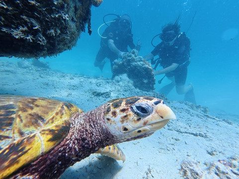 Scuba World Diving Mauritius-马喜埔必去景点