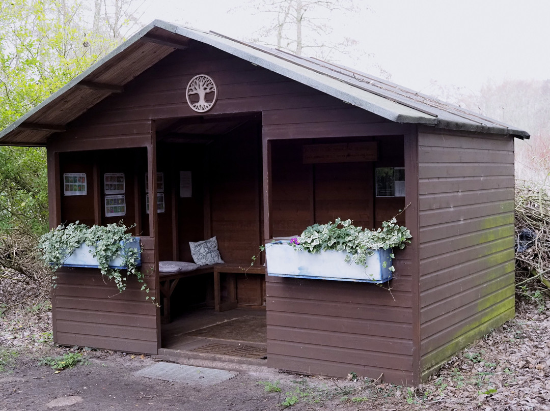 Gooderstone Water Gardens & Nature Trails-金斯林必去景点