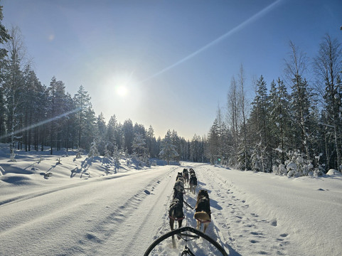 Wild Lapland-Rusktrask必去景点