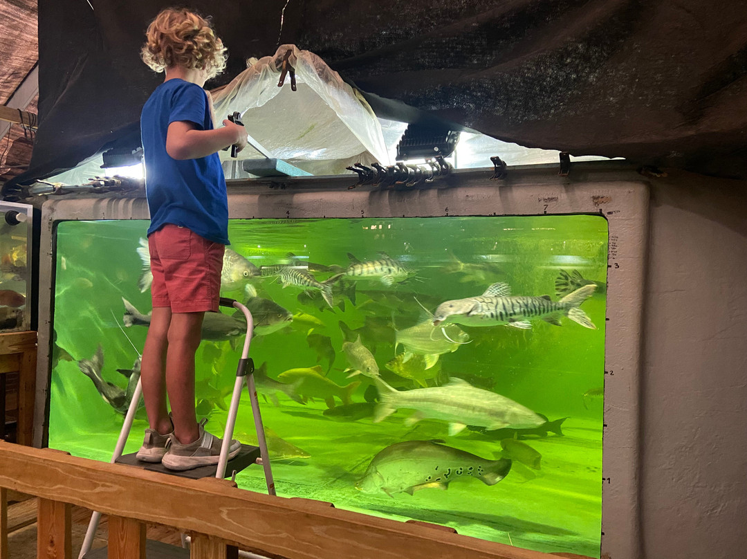 Fish Story Aquarium and Rescue-那不勒斯必去景点