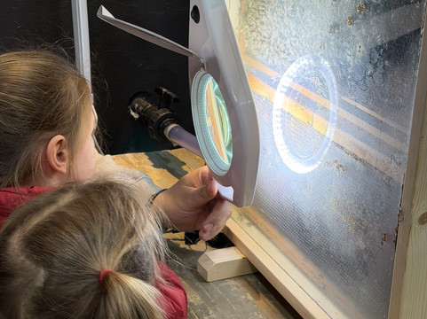 Bee Museum-诺帕克特斯必去景点