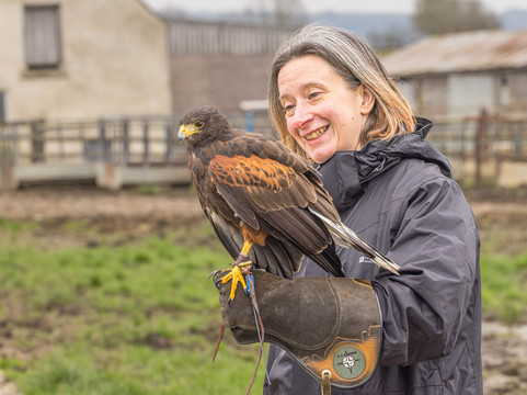 Walks With Hawks-切尔滕纳姆必去景点