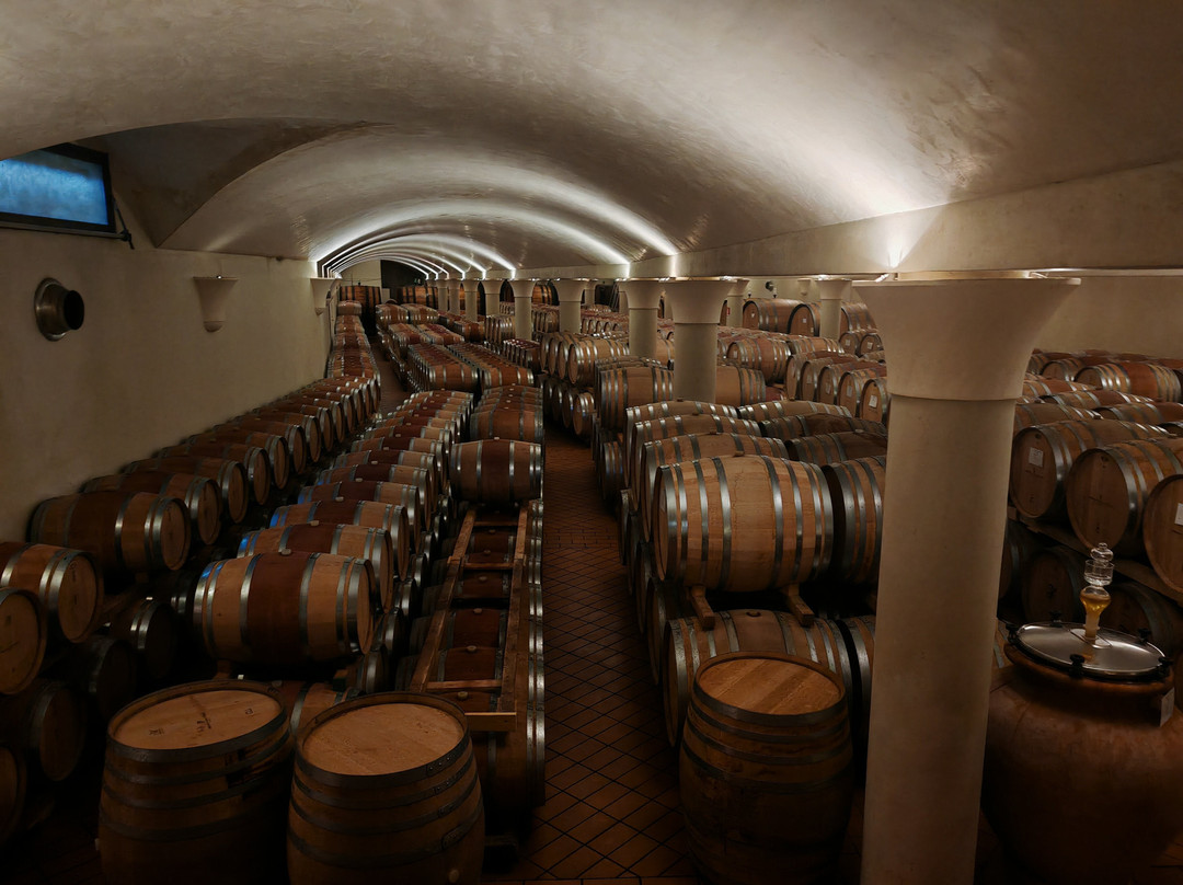 Tenuta di Nozzole-格雷韦伊恩基亚恩蒂必去景点