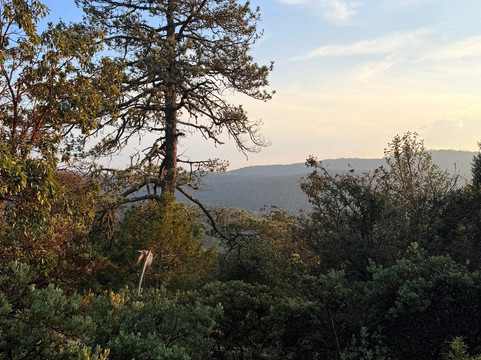 Sky Obsession Astroturismo-克雷塔罗必去景点