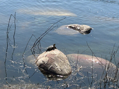 Golf de l'Ocean-阿加迪尔必去景点