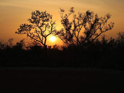Saliou Diallo - Trekking Guide-Kedougou必去景点