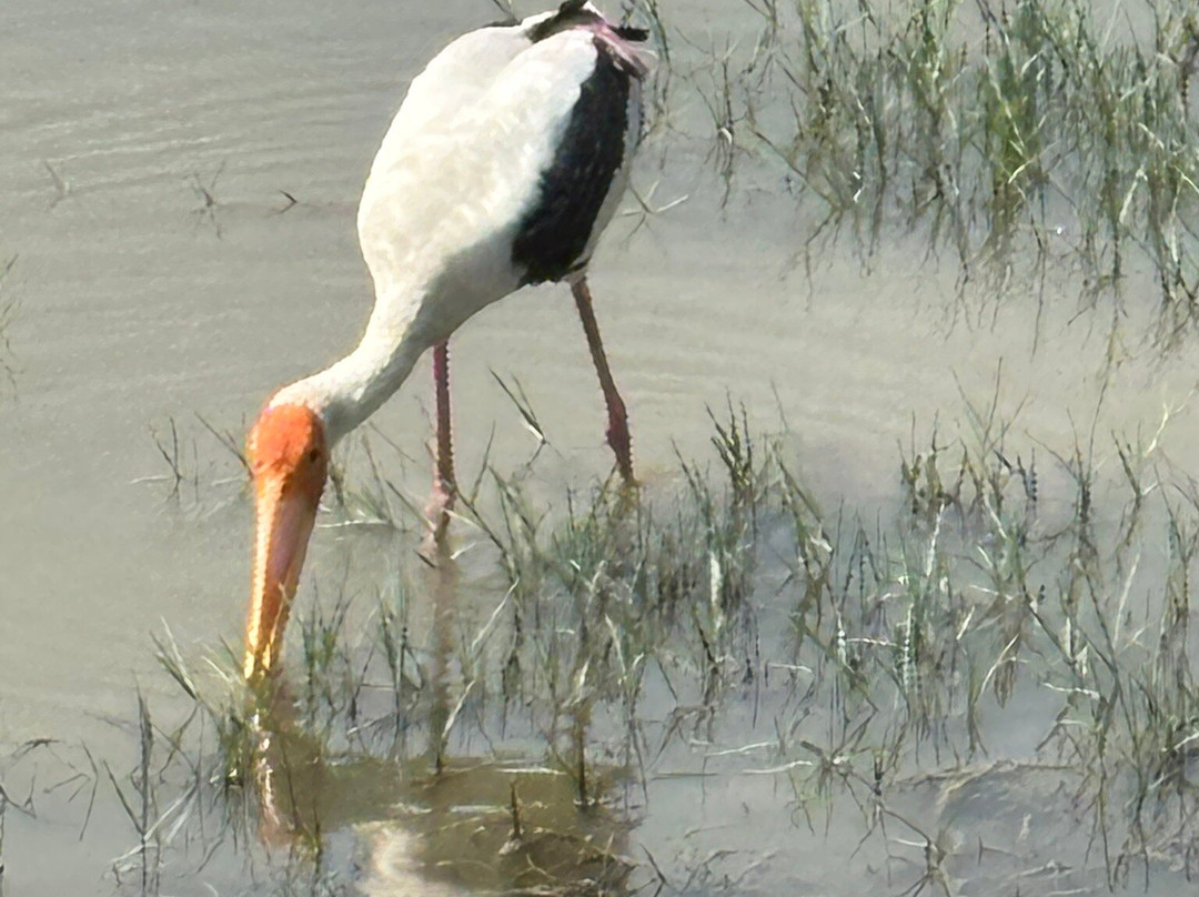 H.O.T Tourism-科伦坡必去景点