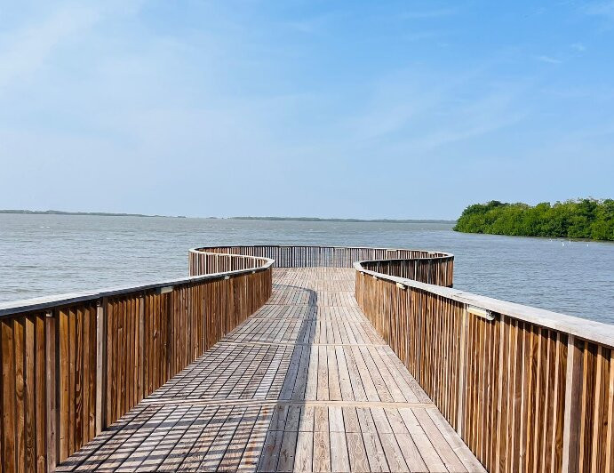 Ecoparque Ciénaga De Mallorquín-Barranquilla必去景点