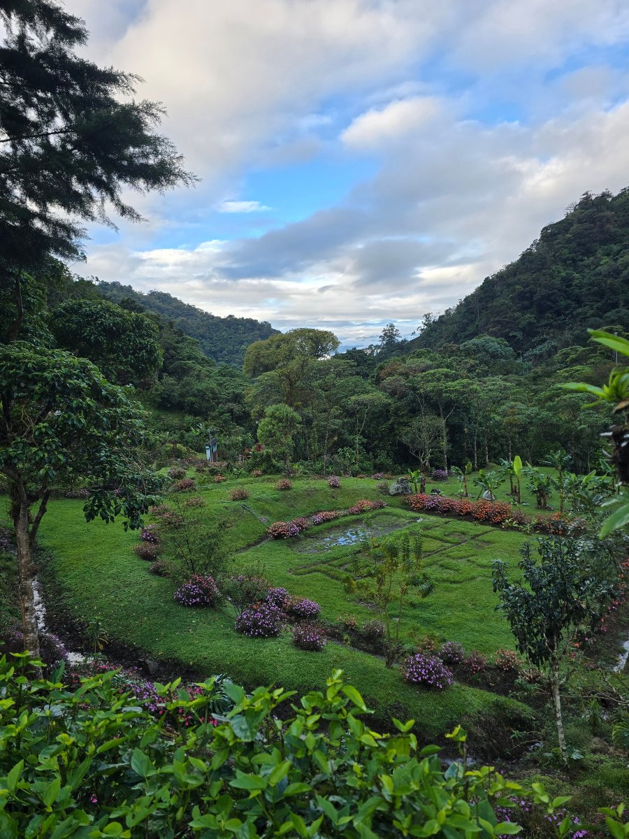 奎里塔勒斯酒店-官方