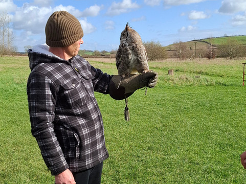 Bird on the Hand Falconry Experiences-Church Langton必去景点