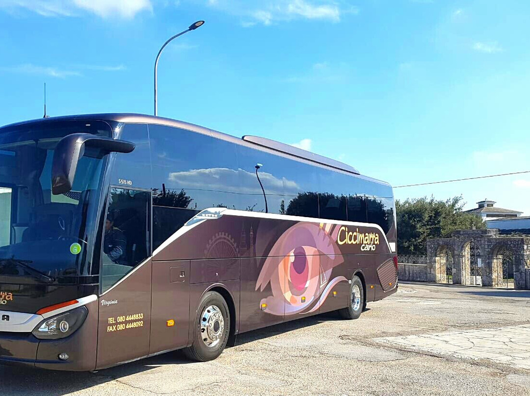 Tour tra le due Terre- Puglia e Basilicata-Cisternino必去景点