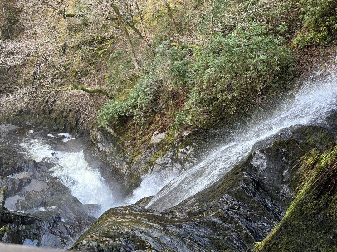 Devil's Bridge Waterfalls-Devil's Bridge (Pontarfynach)必去景点