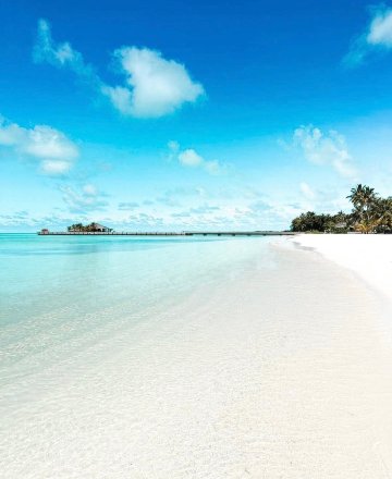 马尔代夫贾瓦卡拉群岛酒店-泳池