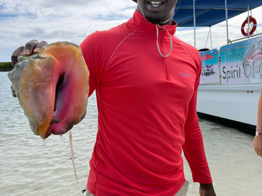 Columbus Isle Excursions-San Salvador必去景点