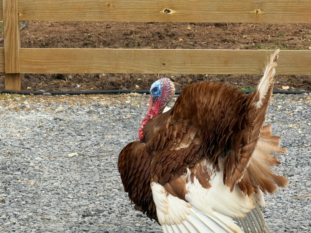 Ocoee Riverside Farm-Benton必去景点