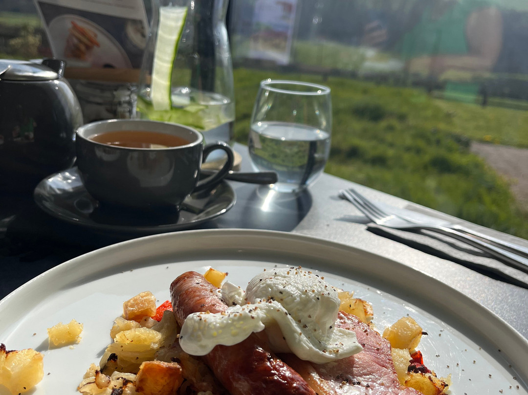 Alder Vineyard-Lewdown必去景点