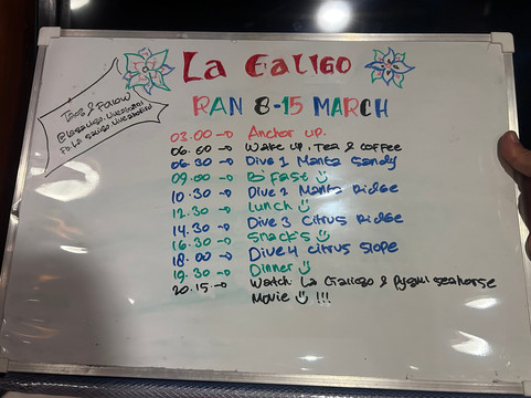 La Galigo Liveaboard-科莫多必去景点