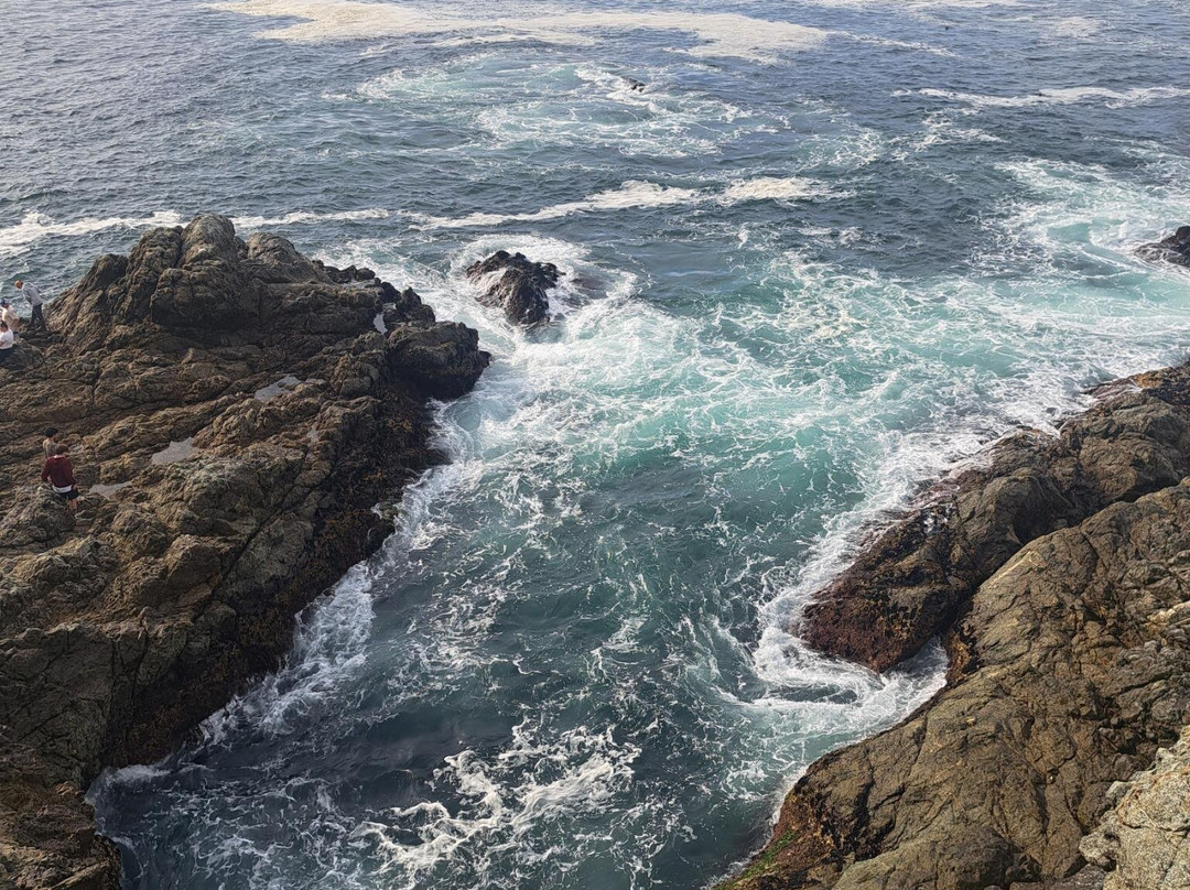 Partington Cove-大苏尔必去景点